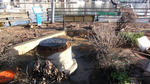 DSC01187.jpg