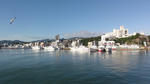 DSC01196.jpg