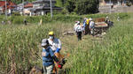 DSC01203.jpg