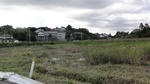 DSC01206.jpg