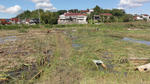 DSC01236.jpg