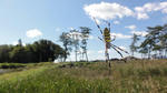 DSC01238.jpg
