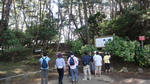 DSC01246.jpg