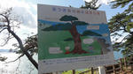 DSC01254.jpg