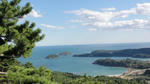 DSC01261.jpg