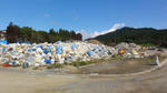 DSC01292.jpg