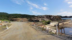 DSC01293.jpg