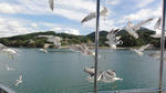DSC01306.jpg