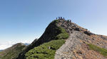 DSC01337.jpg