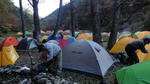 DSC01312.jpg