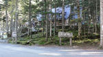 DSC01314.jpg