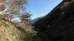 DSC01320.jpg