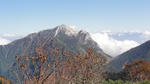 DSC01332.jpg