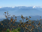 IMG_2540.JPG