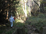 DSC01600.jpg