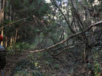 DSC01602.jpg