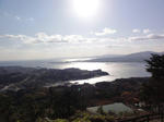 DSC01555.jpg