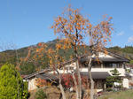 DSC01548.jpg