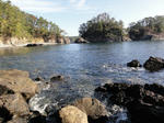 DSC01590.jpg