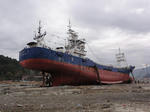 DSC01617.jpg