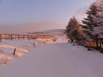 DSC01665.jpg