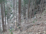 DSC01724.JPG