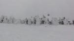 DSC01748.jpg