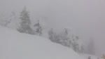 DSC01762.jpg