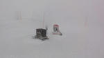DSC01769.jpg