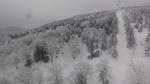 DSC01785.jpg