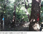 92027651.jpeg