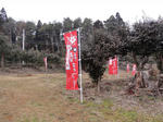 DSC01840.jpg