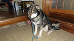 DSC01880.jpg