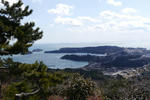 P1000710.jpg