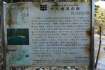 P1000737.jpg