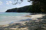 P1000727.jpg