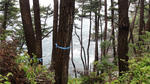 DSC02020.jpg