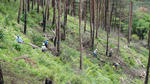 DSC02035.jpg