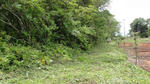 DSC02076.jpg