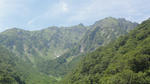 DSC02187.jpg