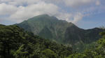 DSC02216.jpg