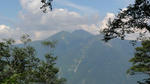 DSC02217.jpg