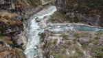 DSC02377.jpg