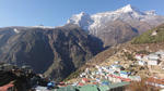 DSC02390.jpg