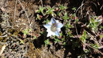 DSC02395.jpg