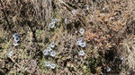 DSC02397.jpg