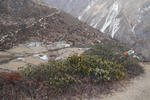 P1000145.jpg