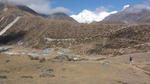 DSC02449.jpg