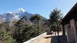 DSC02616.jpg