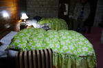 P1000376.jpg
